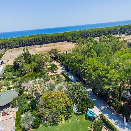 Bio Agriturismo Salos Alimini Exteriér fotografie