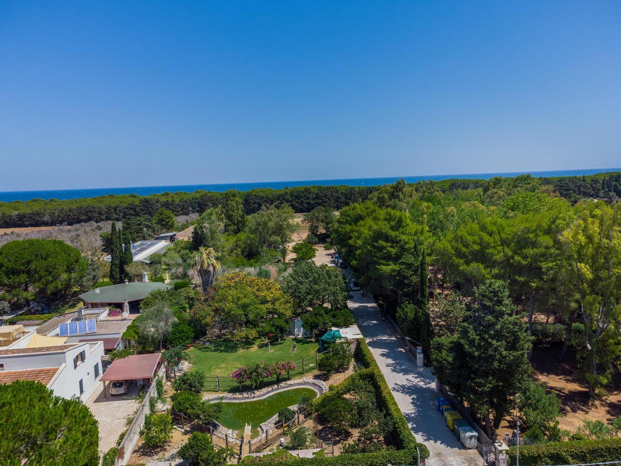 Bio Agriturismo Salos Alimini Exteriér fotografie