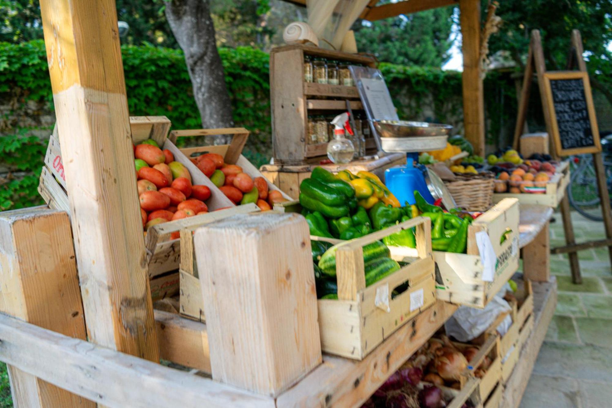 Bio Agriturismo Salos Alimini Exteriér fotografie