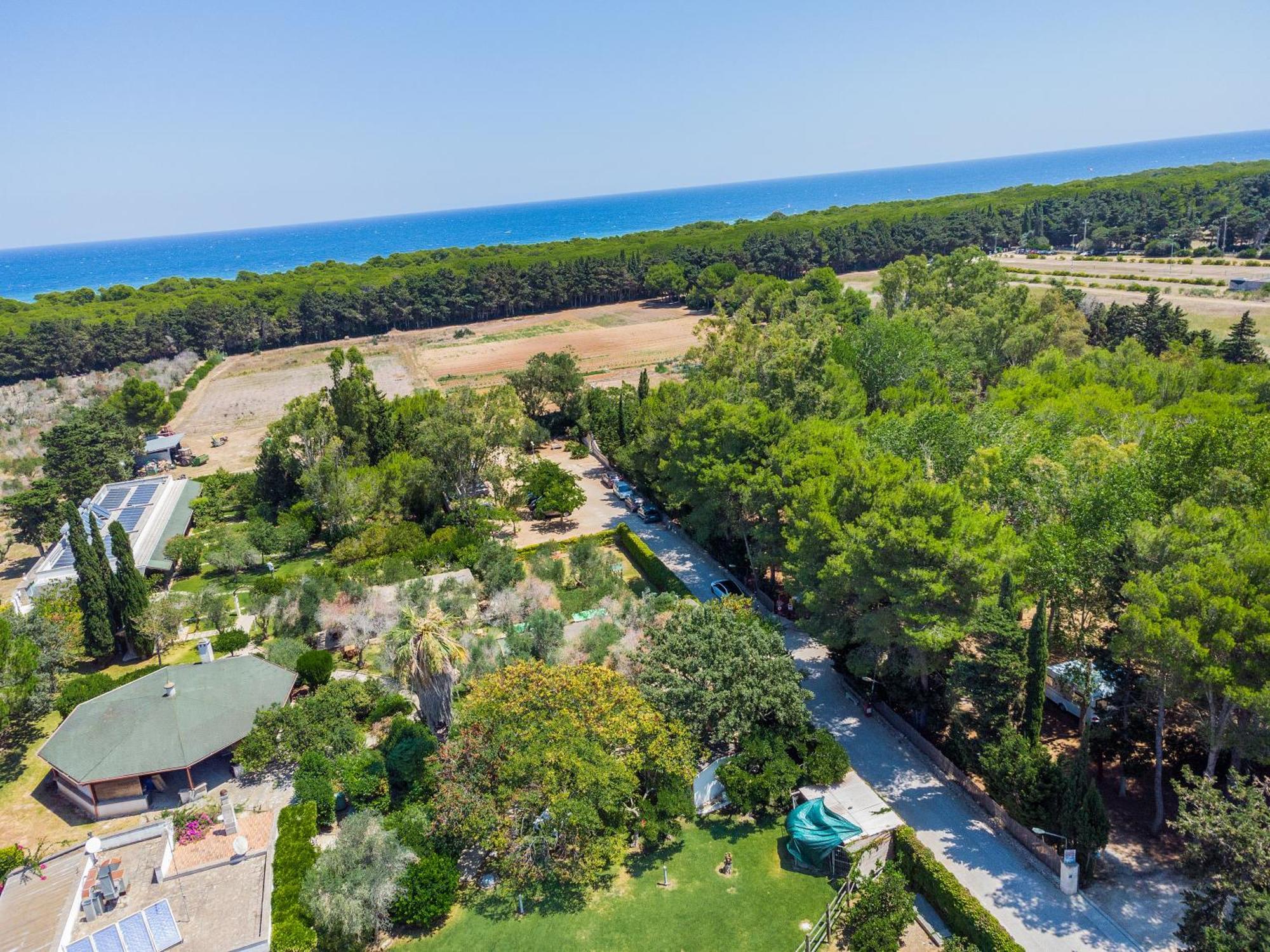 Bio Agriturismo Salos Alimini Exteriér fotografie